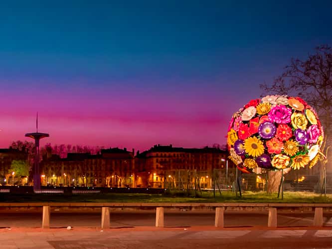 L'arbre à fleur, lyon