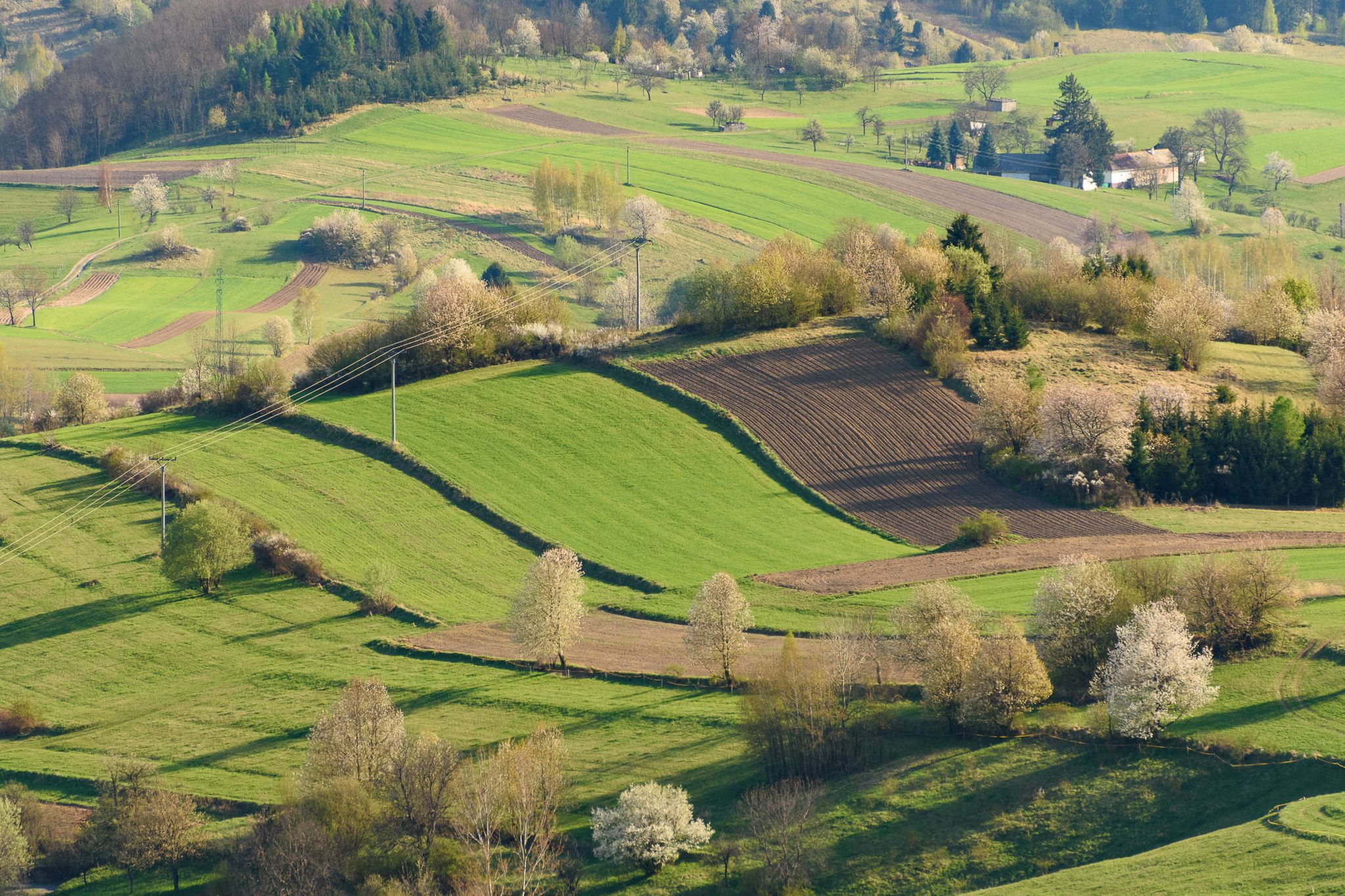 Lazy Hriňová, Slovakia (Slovak Republic)