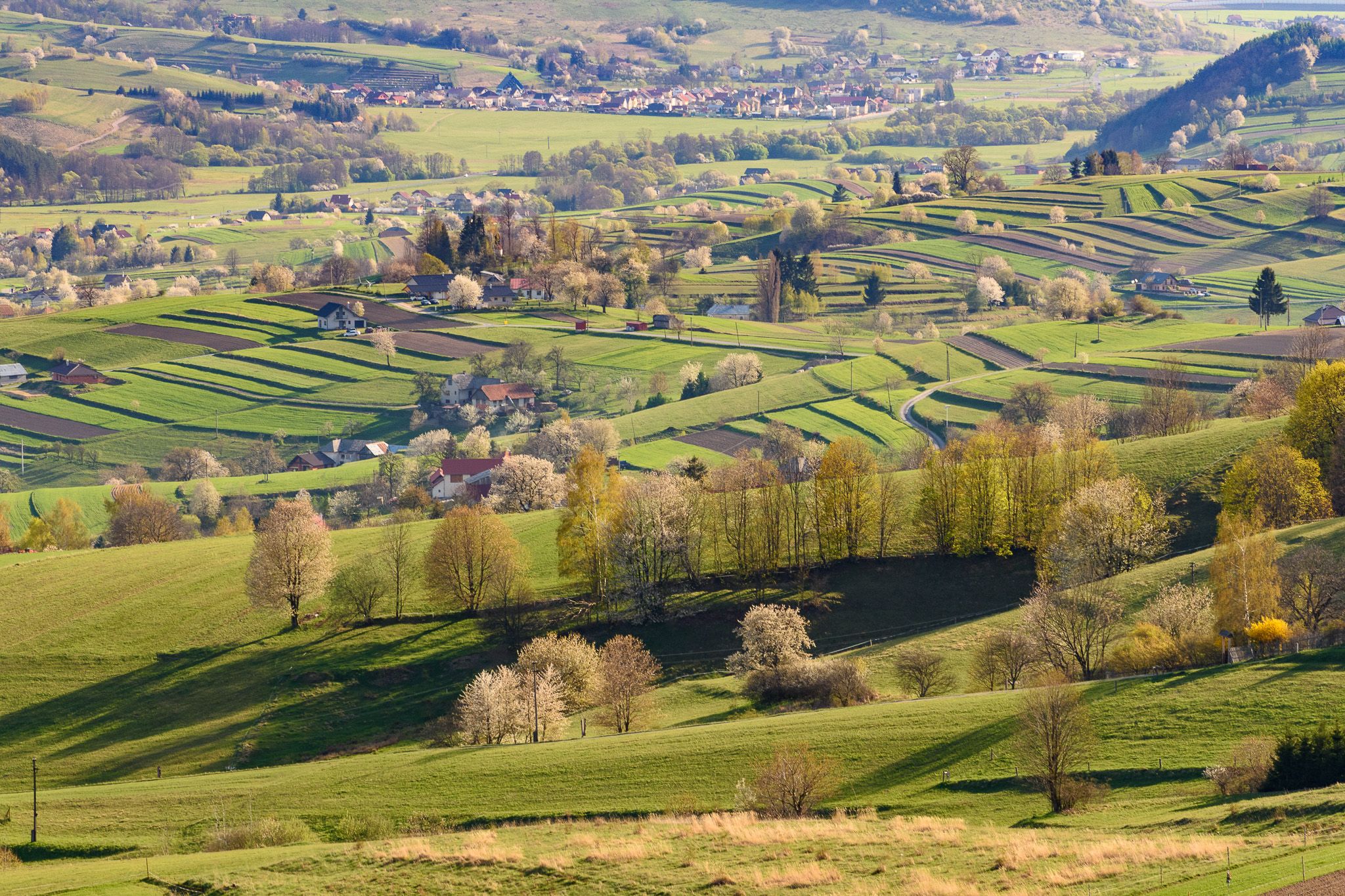 Lazy Hriňová, Slovakia (Slovak Republic)