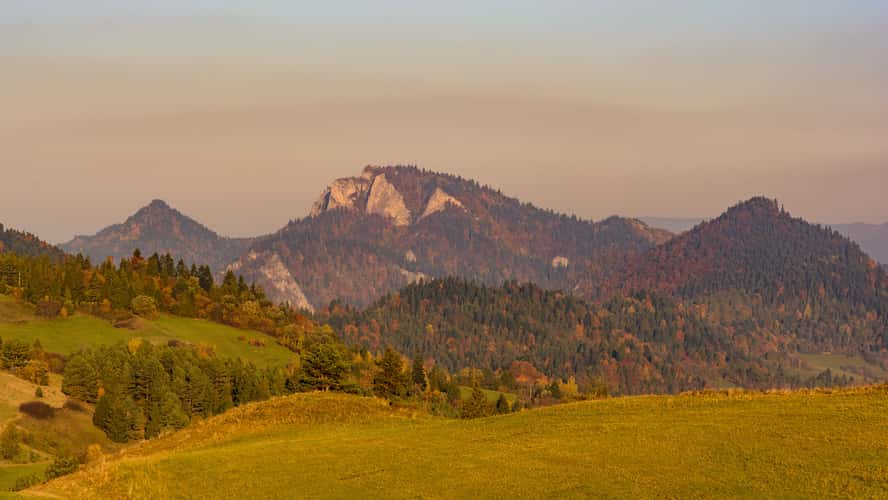 Lesnické sedlo