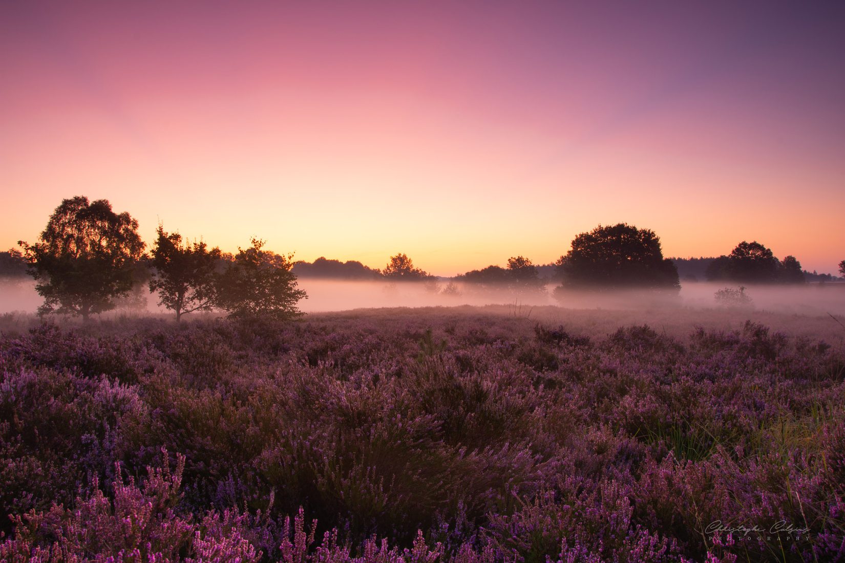 Mechelse Heide, Belgium