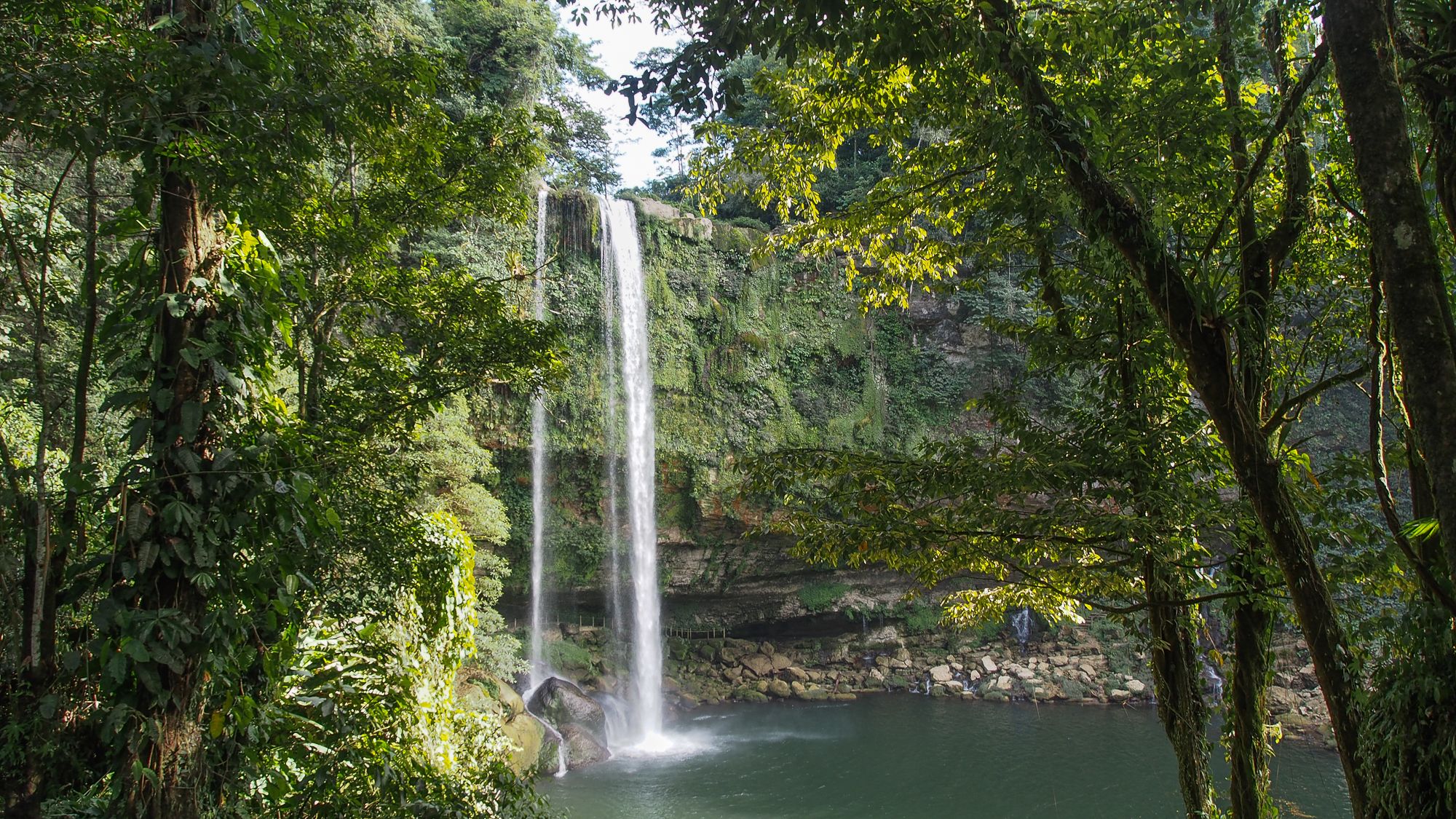 Misol-ha waterfall, Mexico
