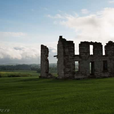 Mooney Farm, USA