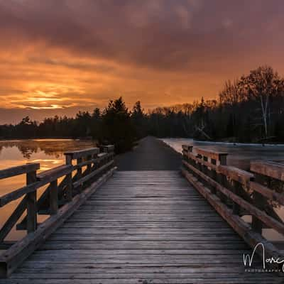 Morris Island Conservation Area, Canada