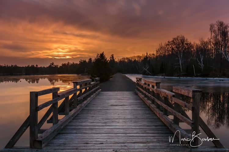 Morris Island Conservation Area
