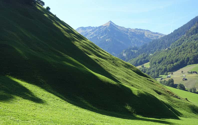 near Weisstannen
