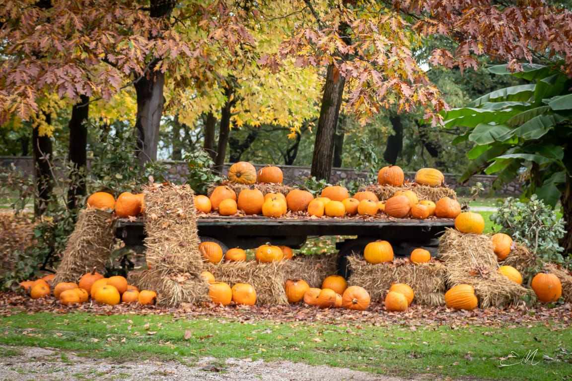 Parco Giardino Sigurtà,VR,Italia, Italy