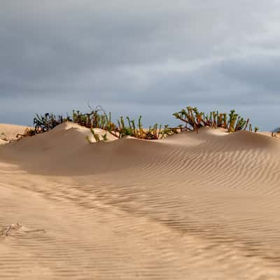 Parque Natural de Corralejo, Spain