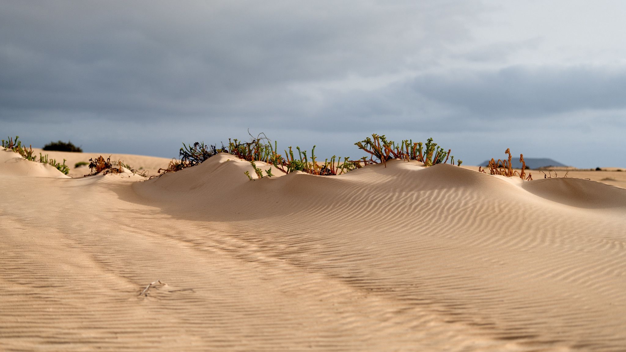 Parque Natural de Corralejo, Spain