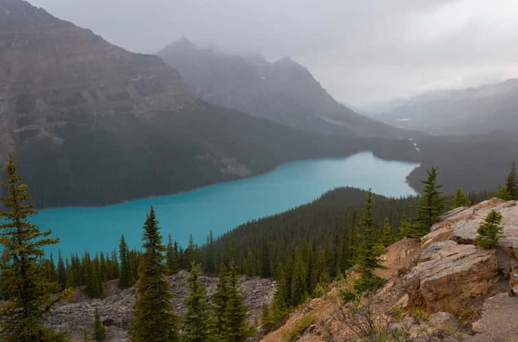 Peyto Lake Overview from Bow Summit