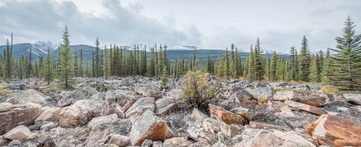 Quartzite Boulder Field - Icefields Parkway