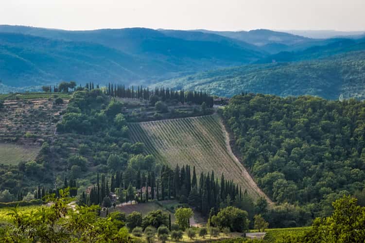 Radda in Chianti