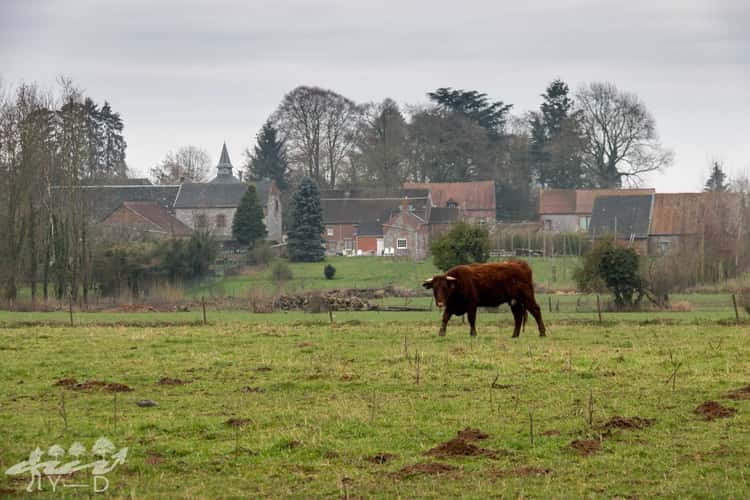 Ragnies