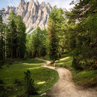 Rifugio Citta di Carpi Trail, Italy