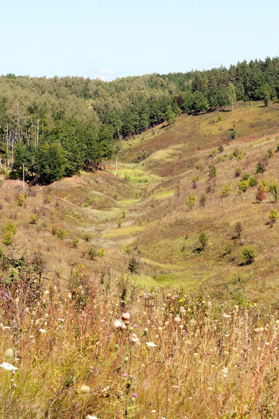 Rolling Hills of Central Russian Upland, Russian Federation