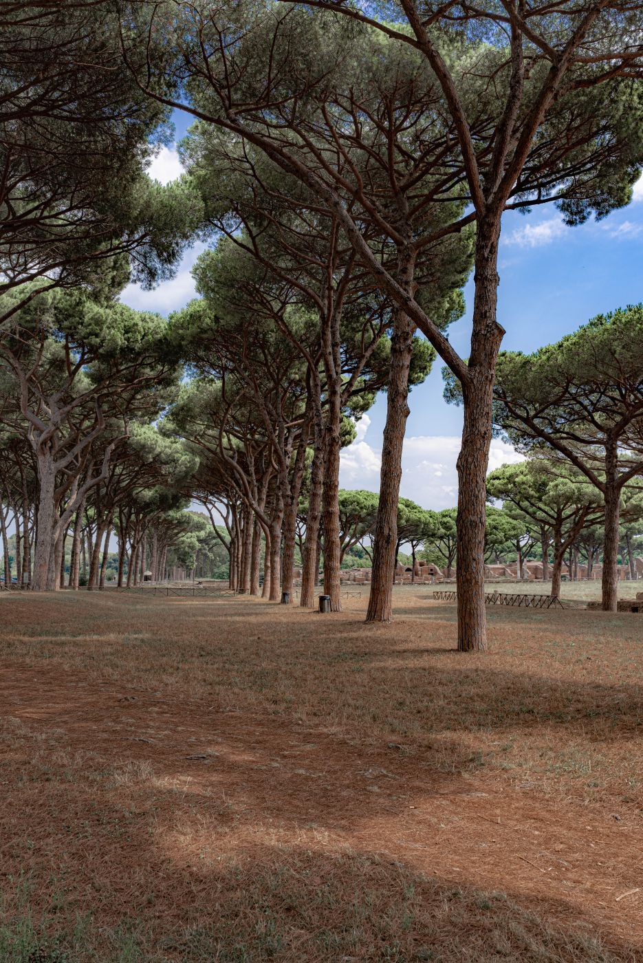 Roman ruins, Italy