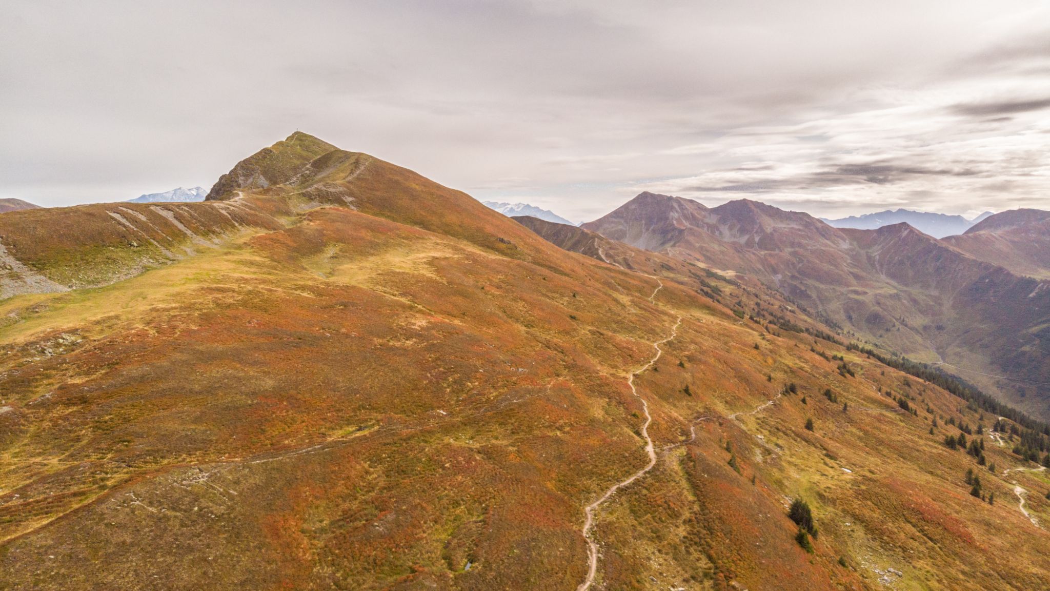 Saalbach-Hinterglemm, Hacklberg-Trail an der Westgipfelbahn, Austria