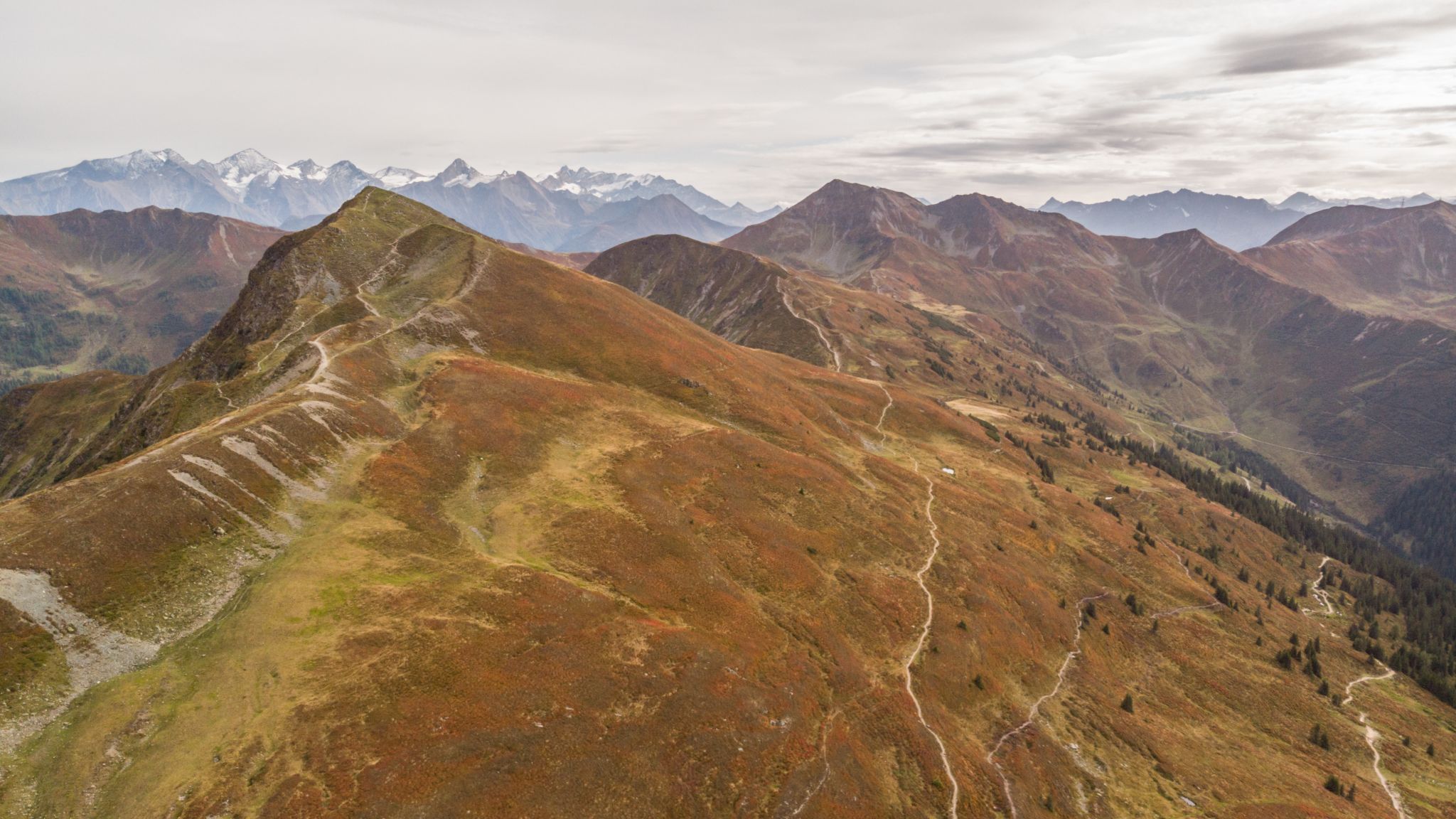 Saalbach-Hinterglemm, Hacklberg-Trail an der Westgipfelbahn, Austria