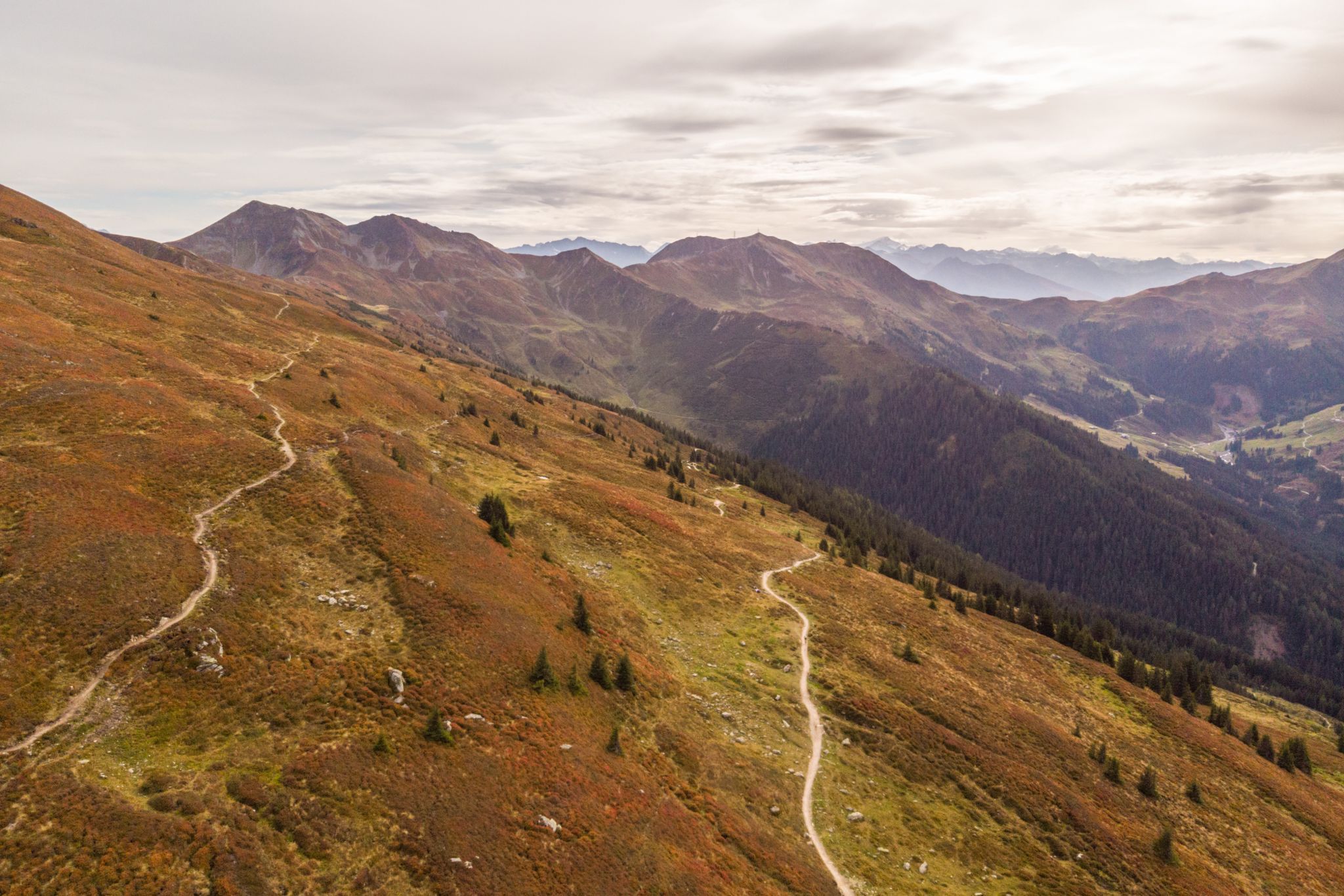 Saalbach-Hinterglemm, Hacklberg-Trail an der Westgipfelbahn, Austria