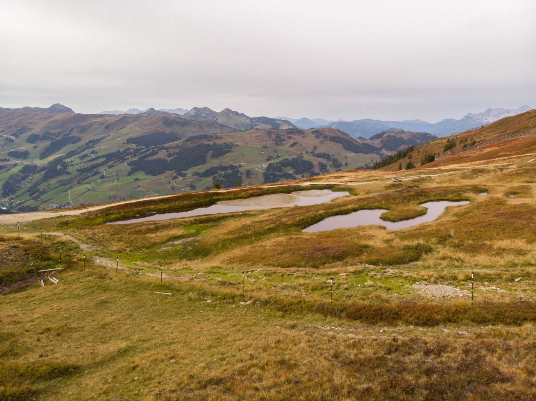 Saalbach-Hinterglemm, Hacklberg-Trail an der Westgipfelbahn, Austria