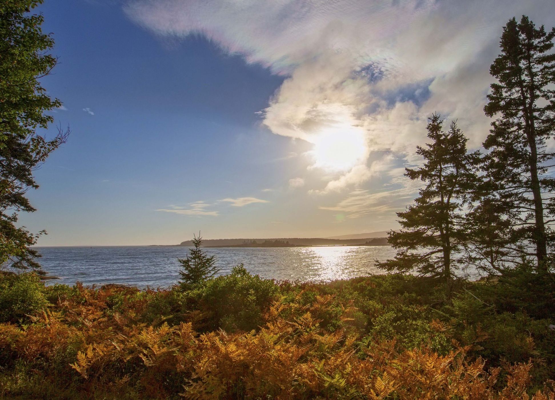 Schoodic Point in Arcadia National Park, USA