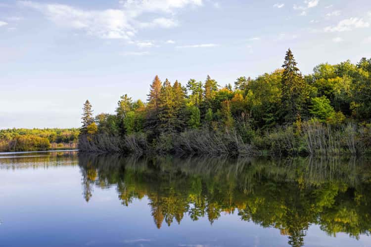 Serpent River
