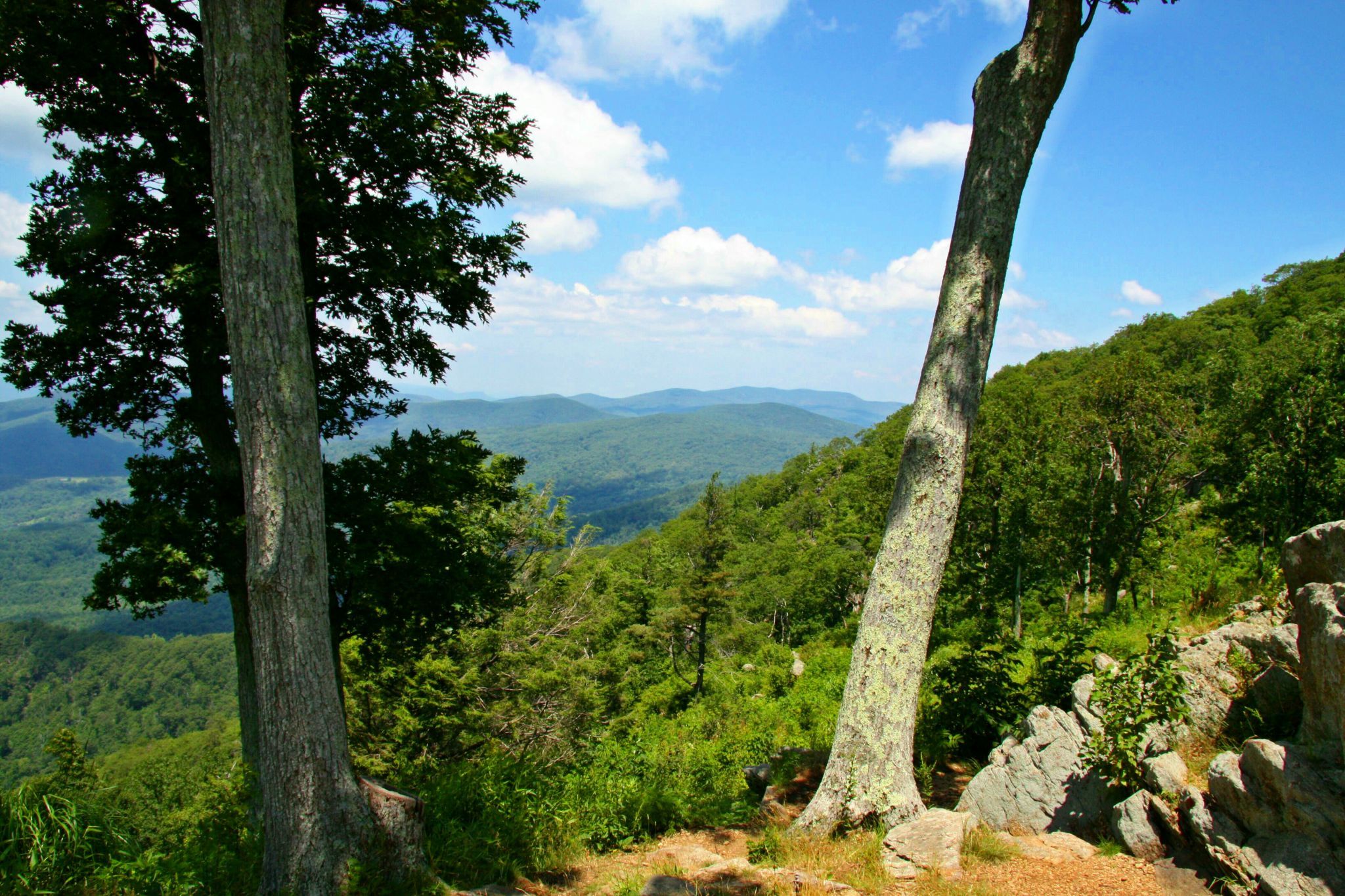 Shenandoah Nationalpark, USA
