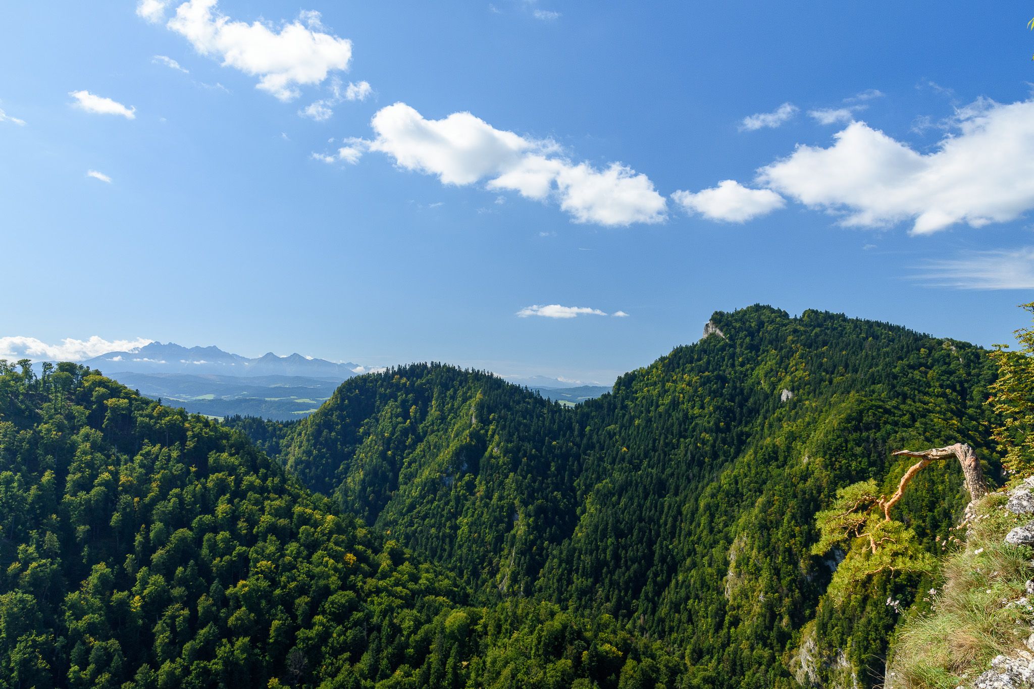 Sokolica, Poland