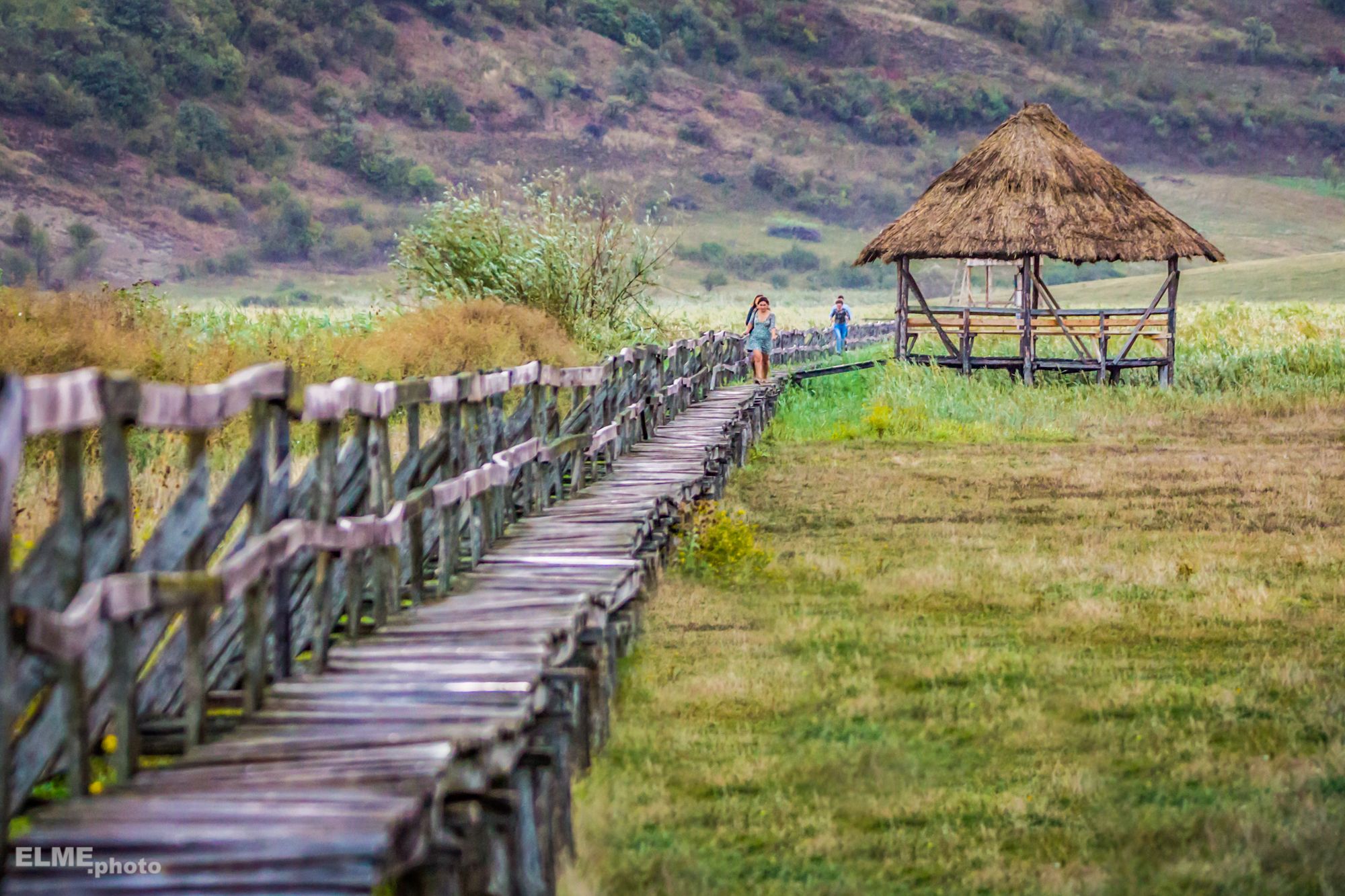 Stufarisul de la Sic, Romania