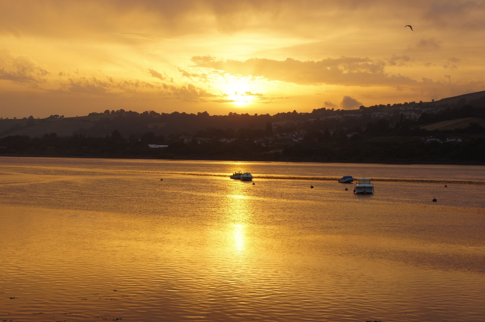 Sunset over river Teign, United Kingdom