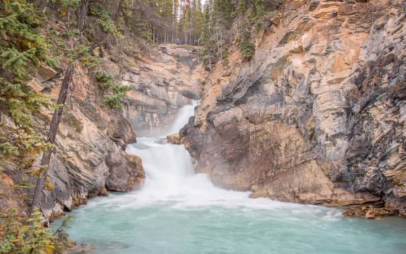 Sunwapta Falls
