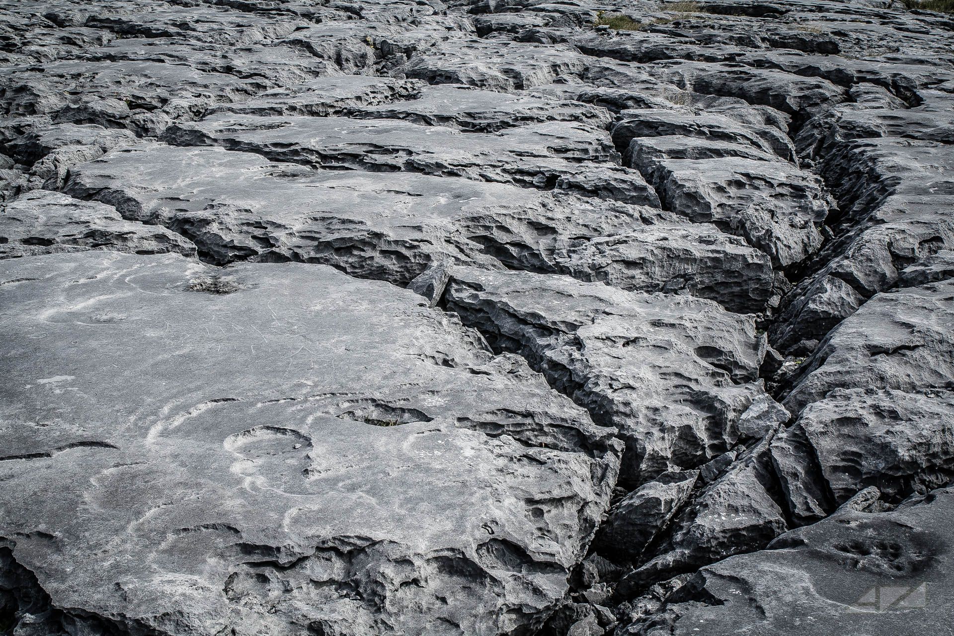 The Burren, Ireland