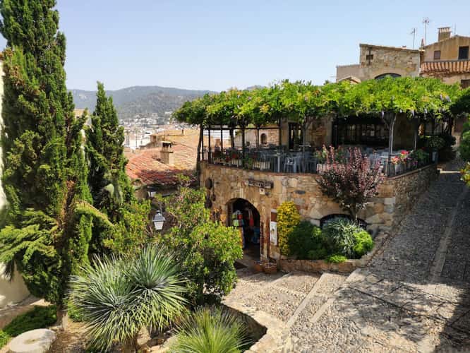 Tossa de mar