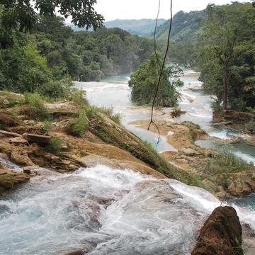 Upstream the xanil river, Mexico
