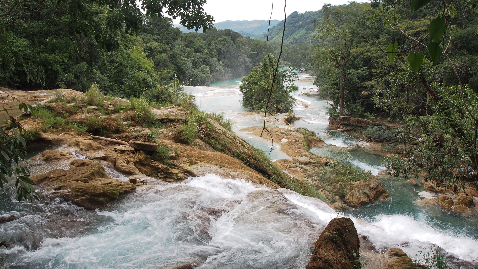 Upstream the xanil river, Mexico