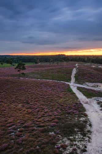 Viewpoint at the Afferdse Duinen