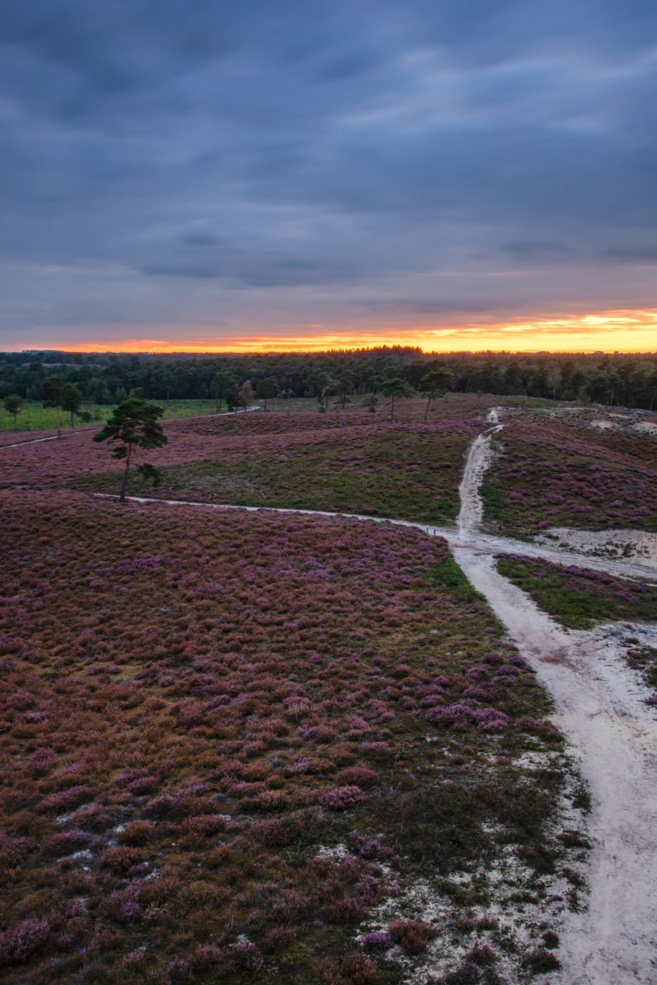 Viewpoint at the Afferdse Duinen, Netherlands