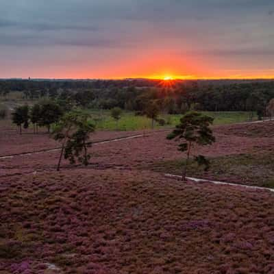 Viewpoint at the Afferdse Duinen, Netherlands