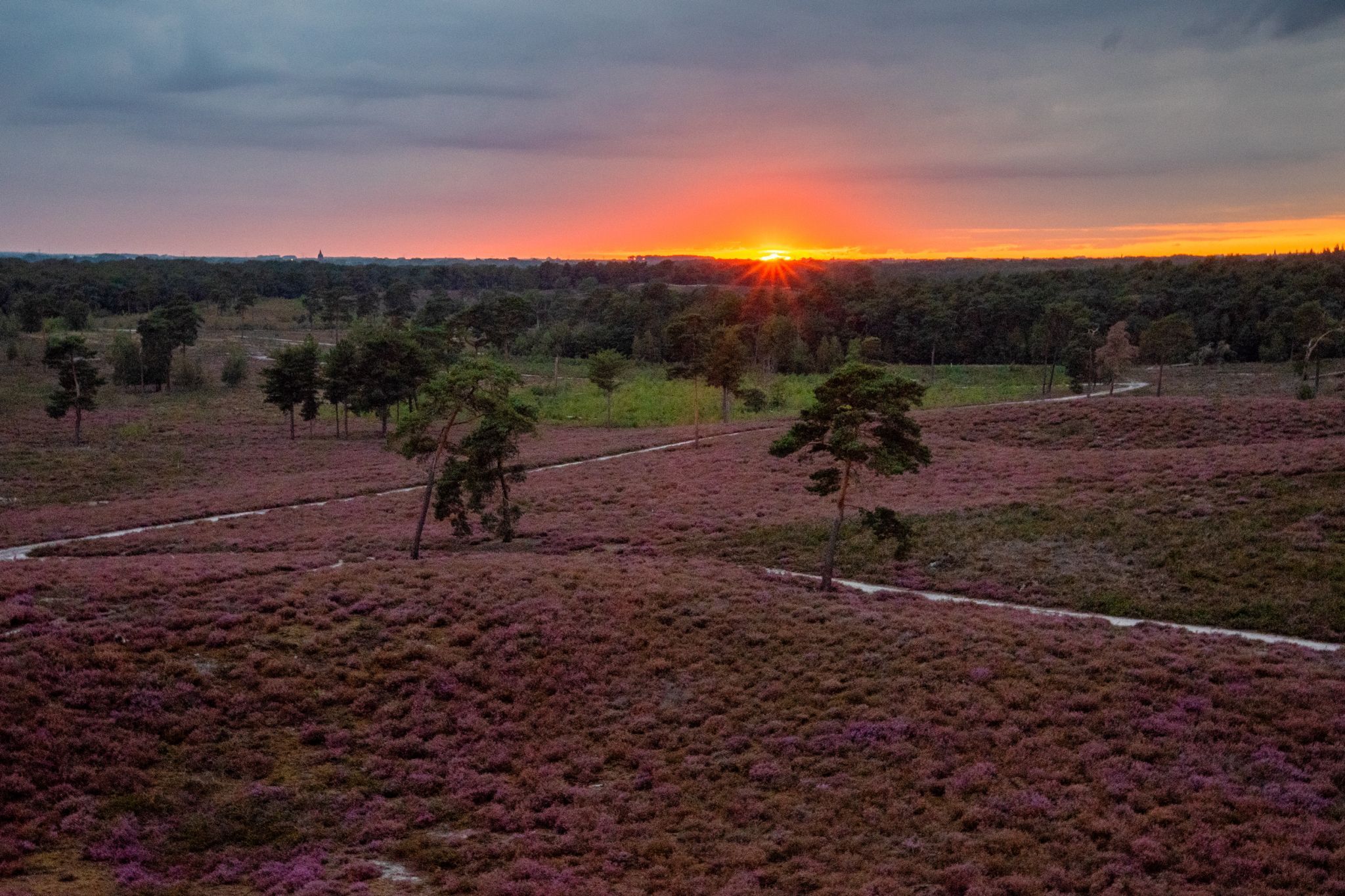 Viewpoint at the Afferdse Duinen, Netherlands