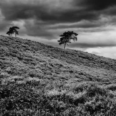 Viewpoint at the Afferdse Duinen, Netherlands