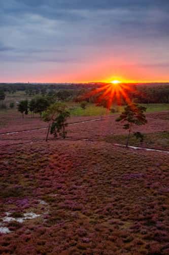 Viewpoint at the Afferdse Duinen