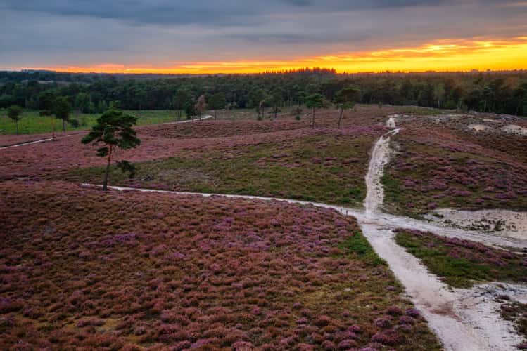 Viewpoint at the Afferdse Duinen