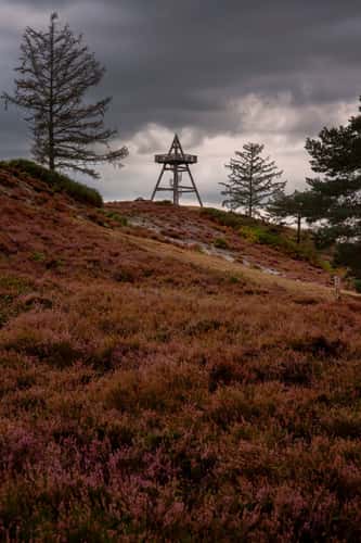Viewpoint at the Afferdse Duinen