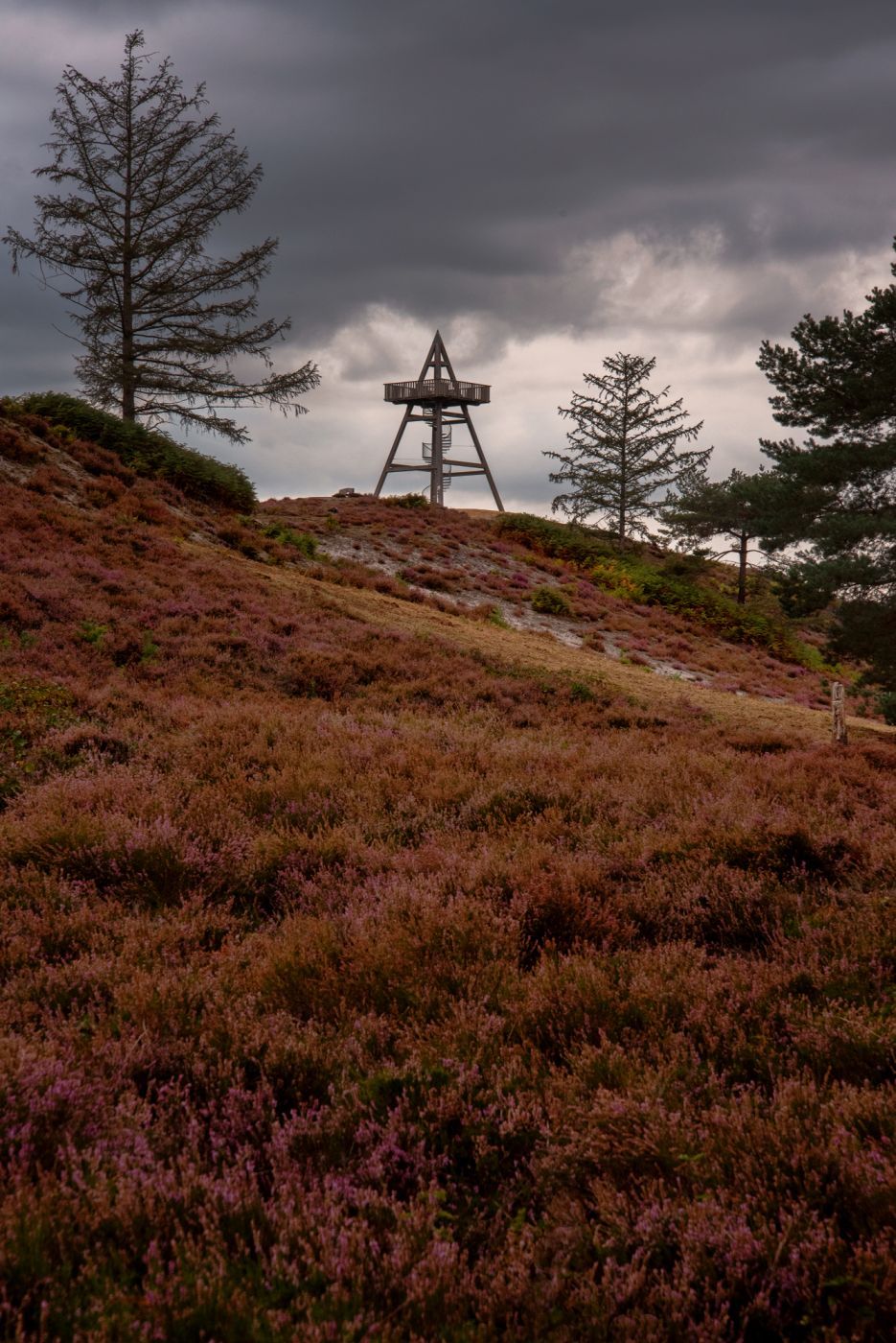 Viewpoint at the Afferdse Duinen, Netherlands