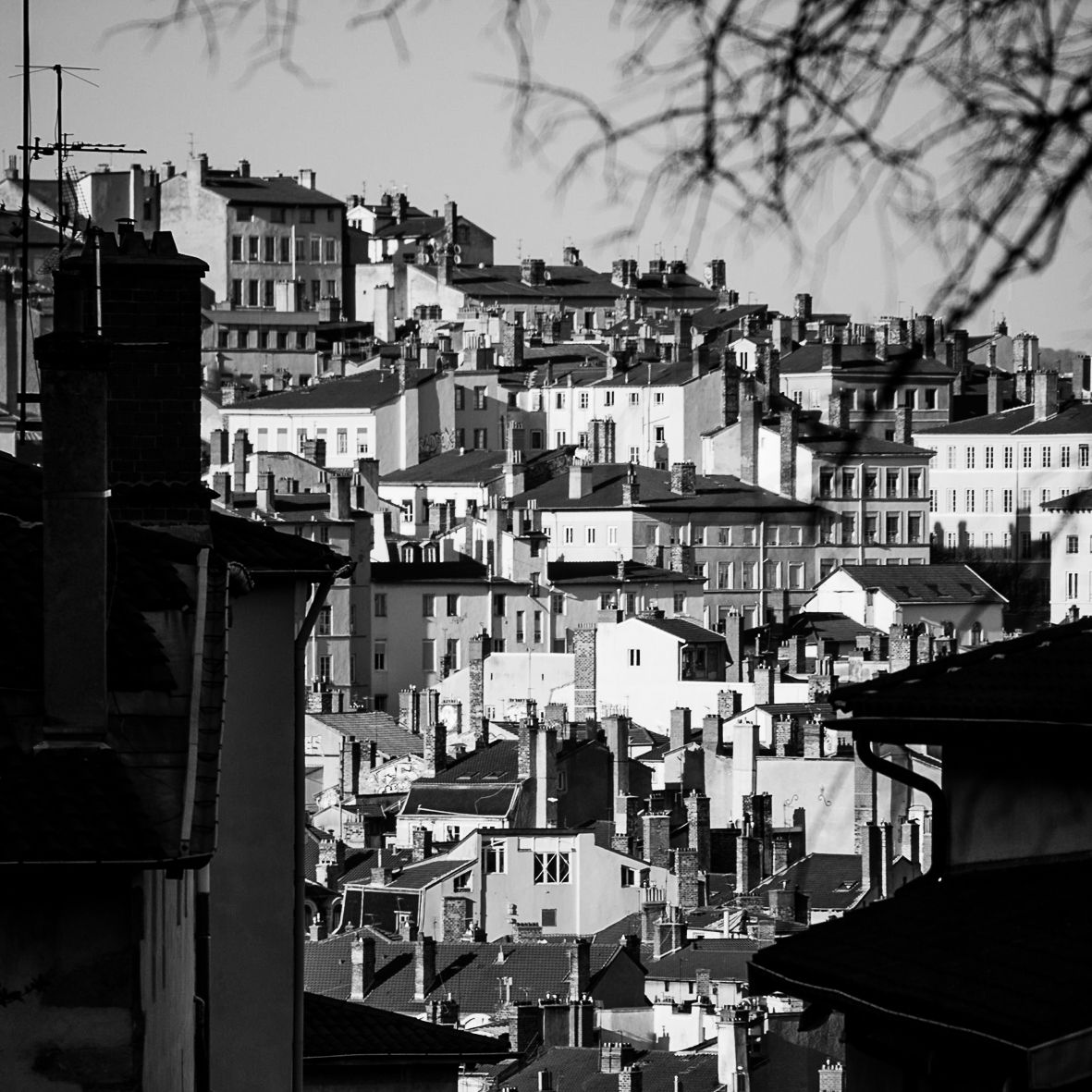 Vue sur les toits de Lyon, France