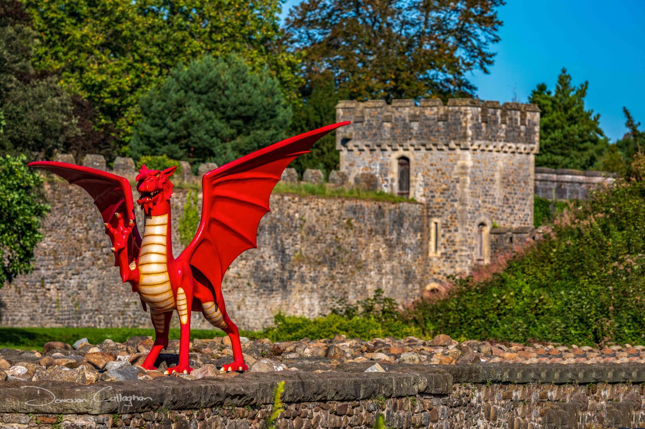 Wales Cardiff Castle Red Dragon, United Kingdom