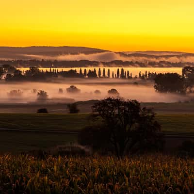 Aach Ried, Germany