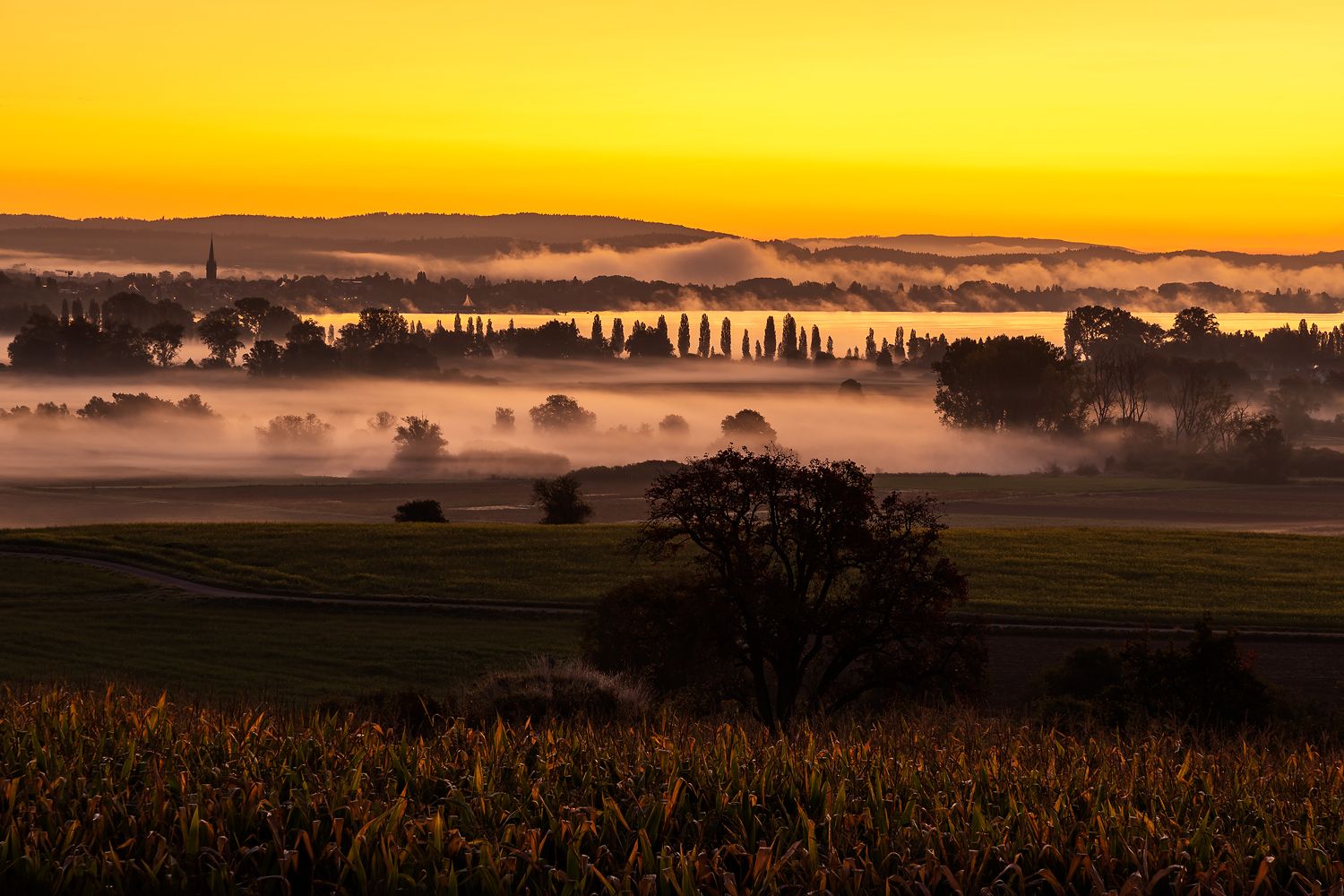 Aach Ried, Germany