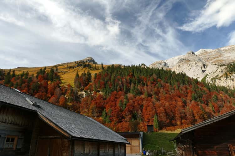 Ahornboden at indian summer