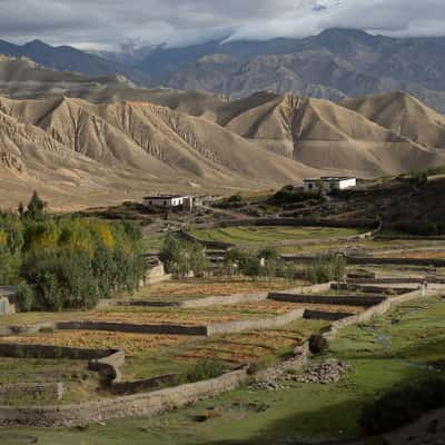 Around Dhakmar, Nepal